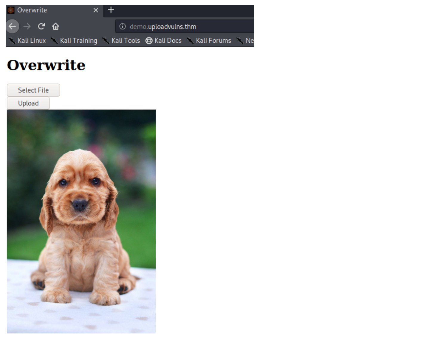 image-20220924165157794