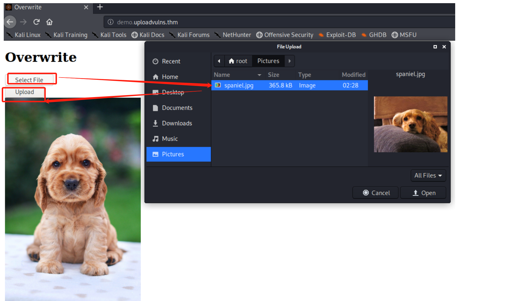 image-20220924165623733