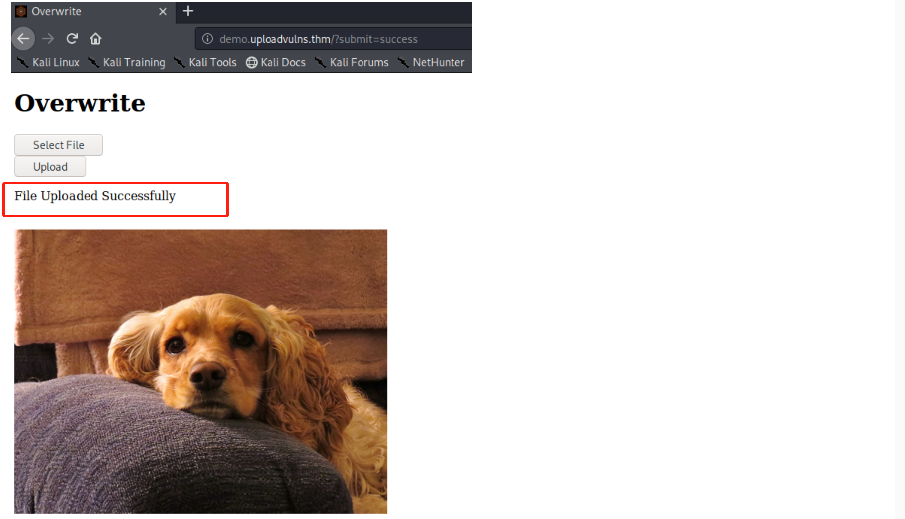 image-20220924165646810