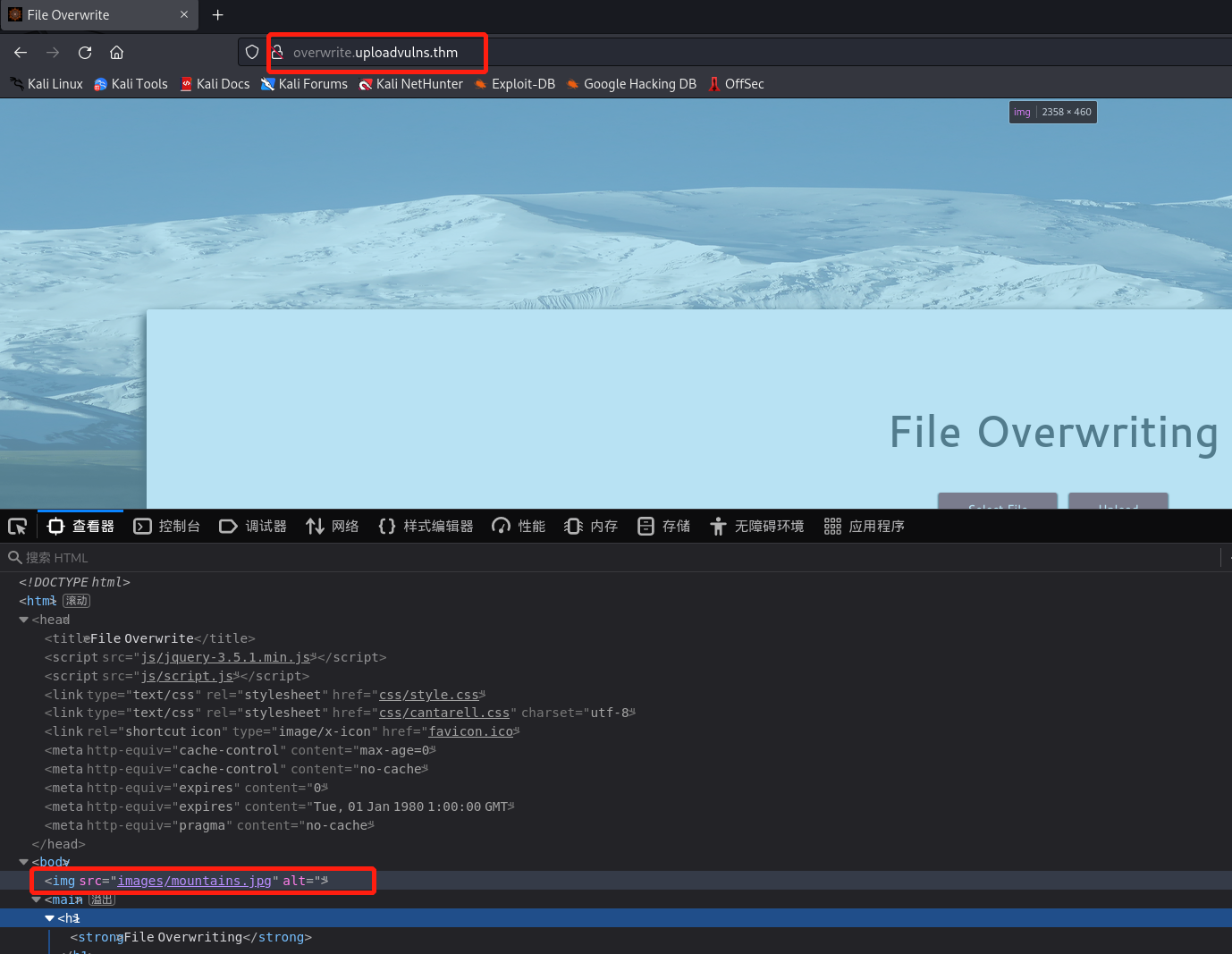image-20220924185206709