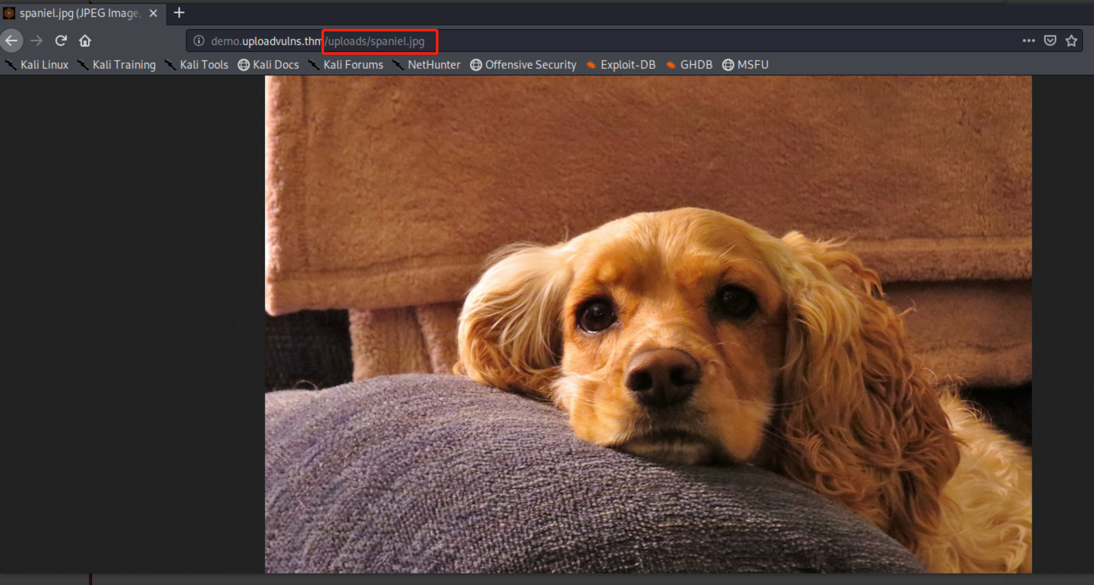 image-20220924194936039