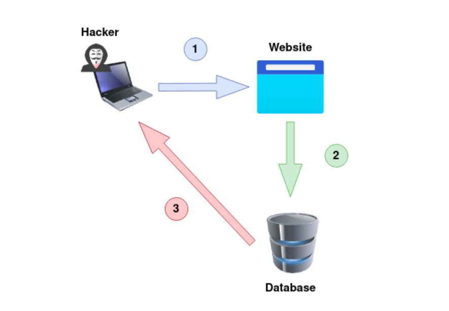 image-20221128232411773