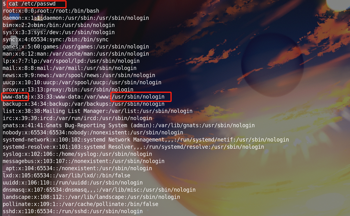 image-20221203184953287