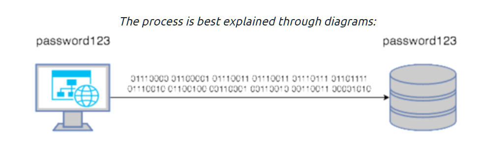 image-20221207080331427