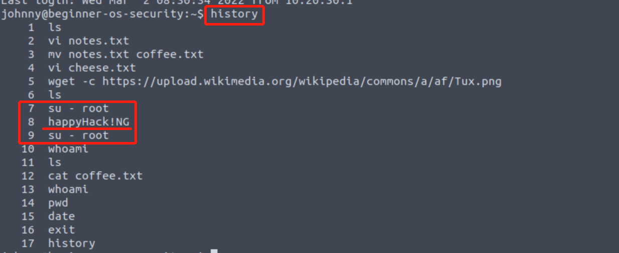 image-20230322181911146