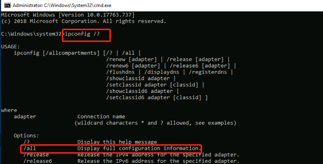 image-20230402094951203
