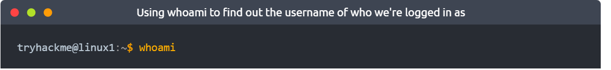 image-20230402221333903