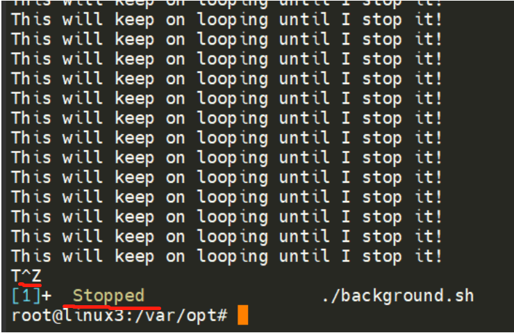 image-20230404192831824