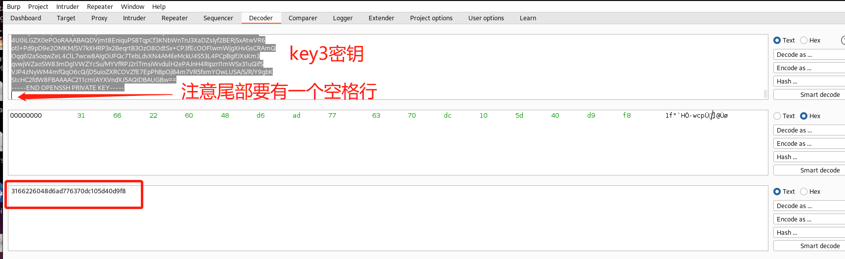 image-20230410132227986