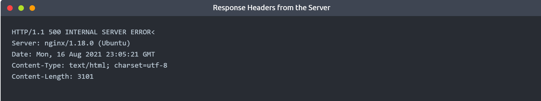 image-20231226184406727