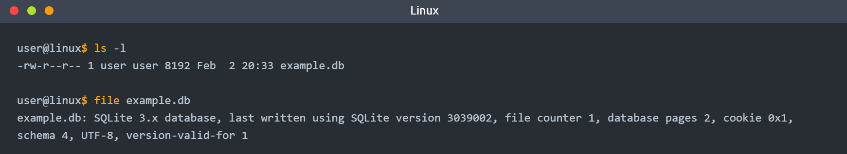 image-20240106220956338