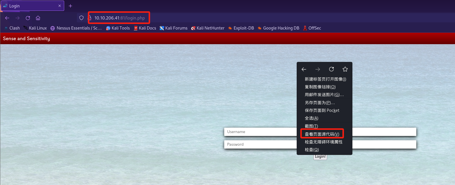 image-20240109213051724